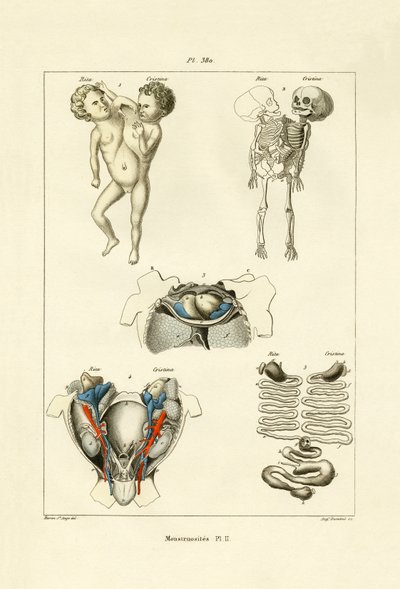 نزوة ، 1833-1839 بواسطة المدرسة الفرنسية